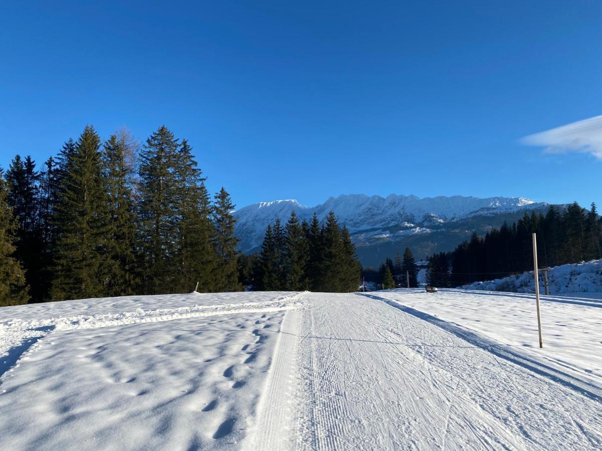 Obersdorfer Hof Konuk evi Bad Mitterndorf Dış mekan fotoğraf