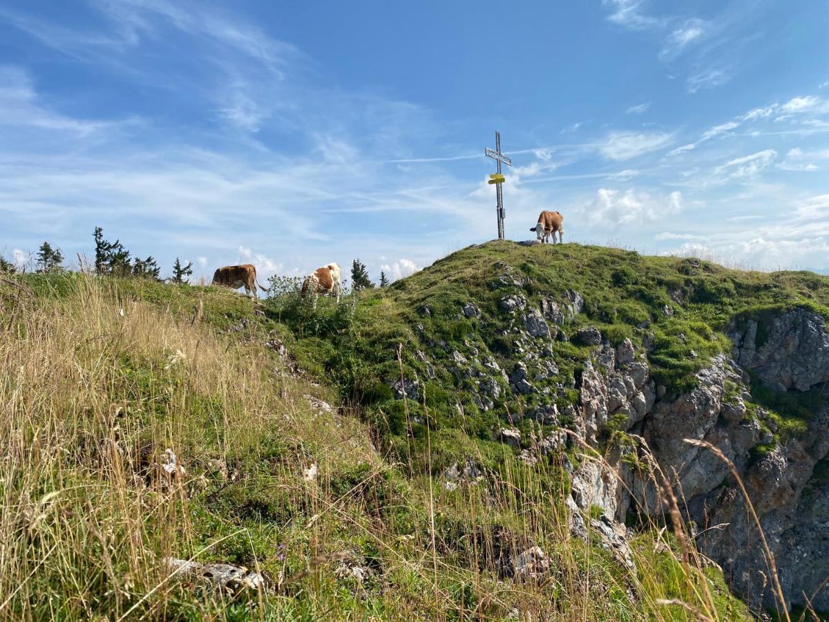 Obersdorfer Hof Konuk evi Bad Mitterndorf Dış mekan fotoğraf